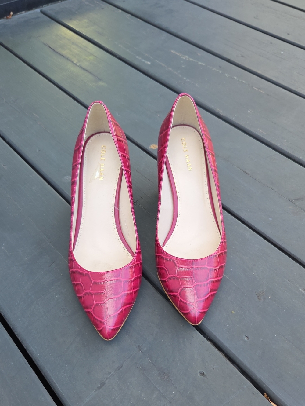 Cole Haan Red Leather Croc-Embossed Pointed Toe Heels Size 6